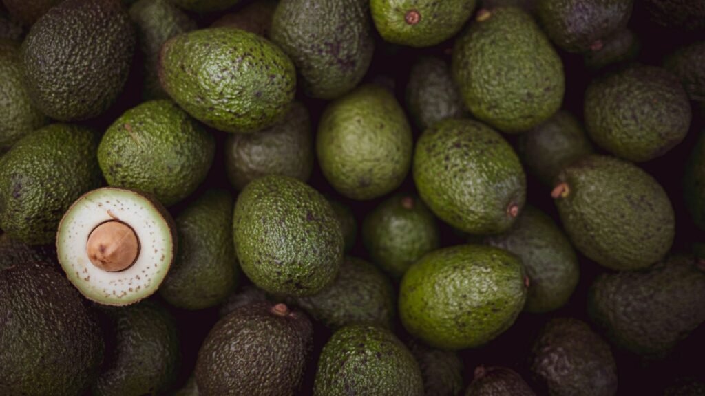 Avocado in India