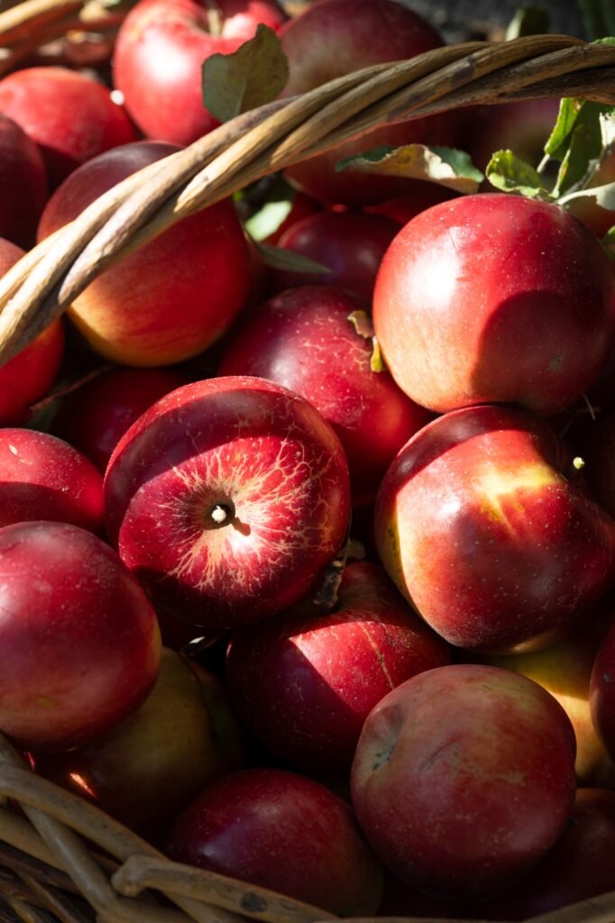 juicy apples in a basket